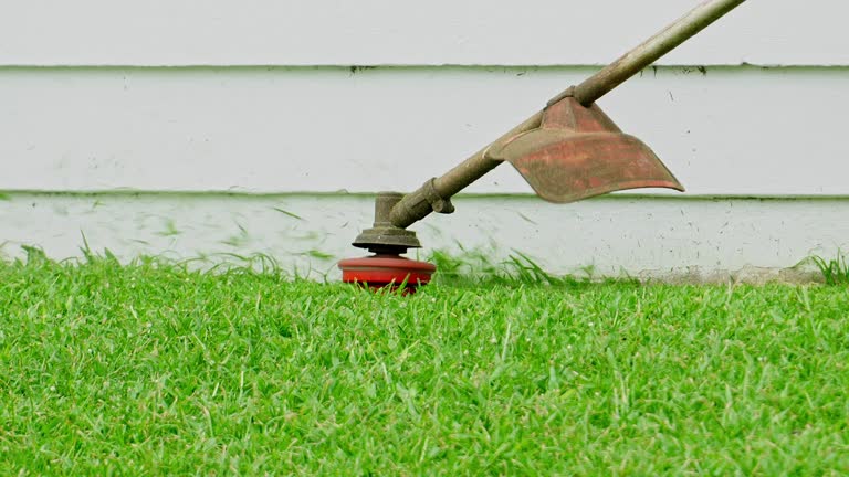How Our Tree Care Process Works  in  Dunnigan, CA